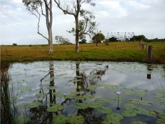 Second view of Homely rural property listing, 284 Lower Mountain Road, Dundowran QLD 4655