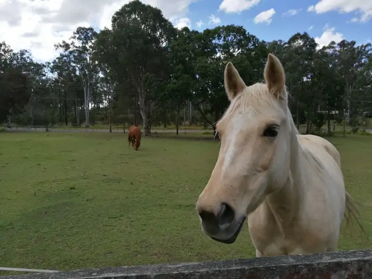 Third view of Homely rural property listing, 136-144 Ison Road, Greenbank QLD 4124