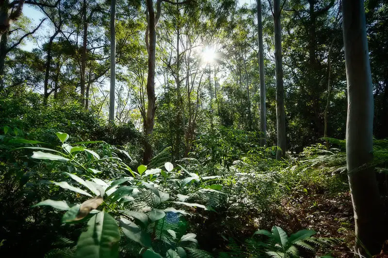 Main view of Homely land listing, 16 Mount Street, Fernmount NSW 2454