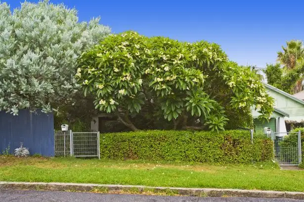 13 Tighes Terrace, Tighes Hill NSW 2297