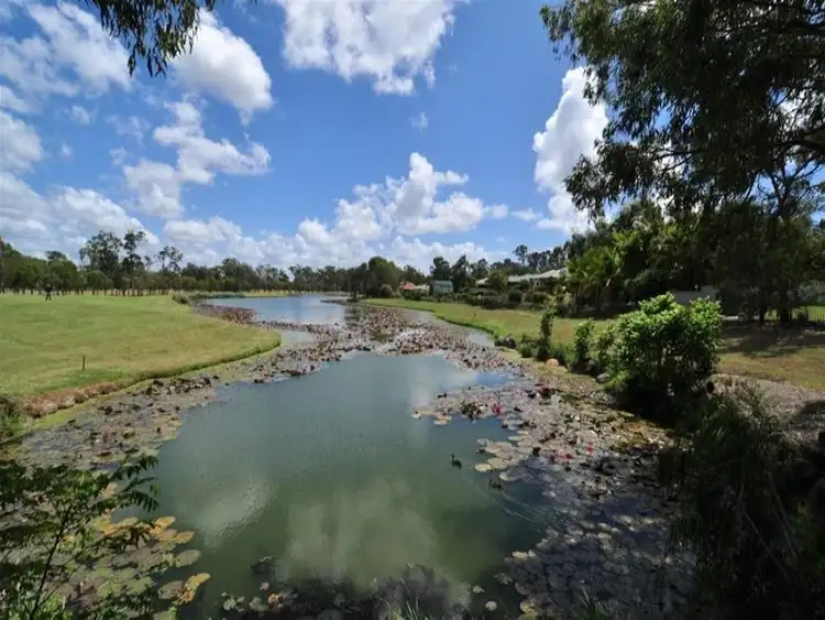 Seventh view of Homely house listing, 4 Steyning Court, Arundel QLD 4214