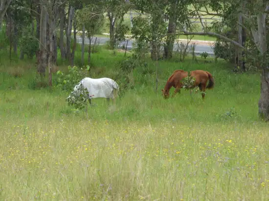 Third view of Homely house listing, 15 Park Road, Crows Nest QLD 4355