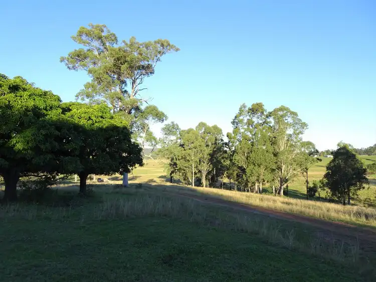 Seventh view of Homely rural property listing, 2634 Coaldale Road, Coaldale NSW 2460