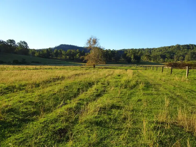 Main view of Homely rural property listing, 2634 Coaldale Road, Coaldale NSW 2460