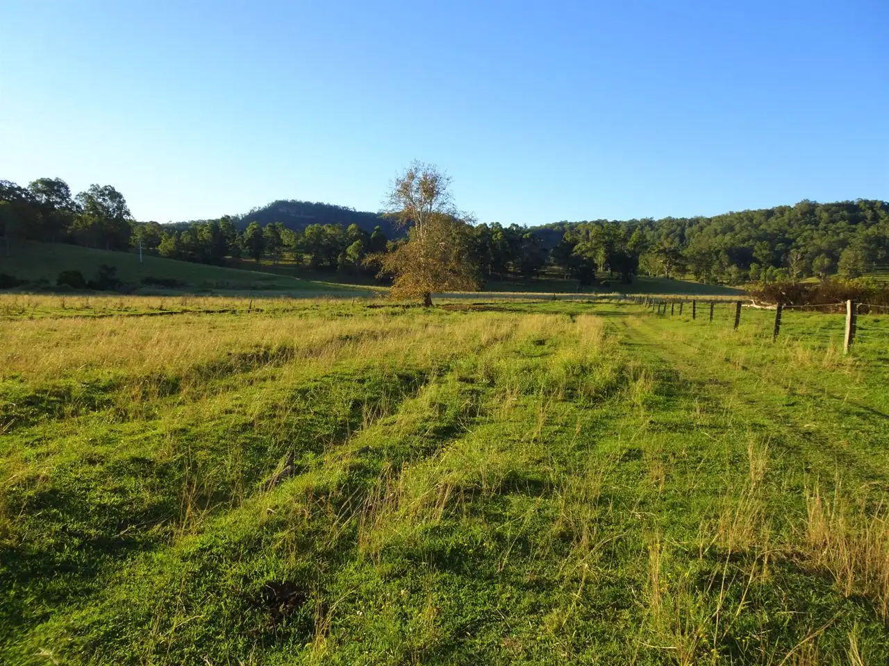 Main view of Homely rural property listing, 2634 Coaldale Road, Coaldale NSW 2460
