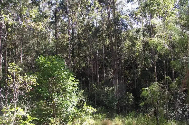 Sixth view of Homely rural property listing, Address available on request