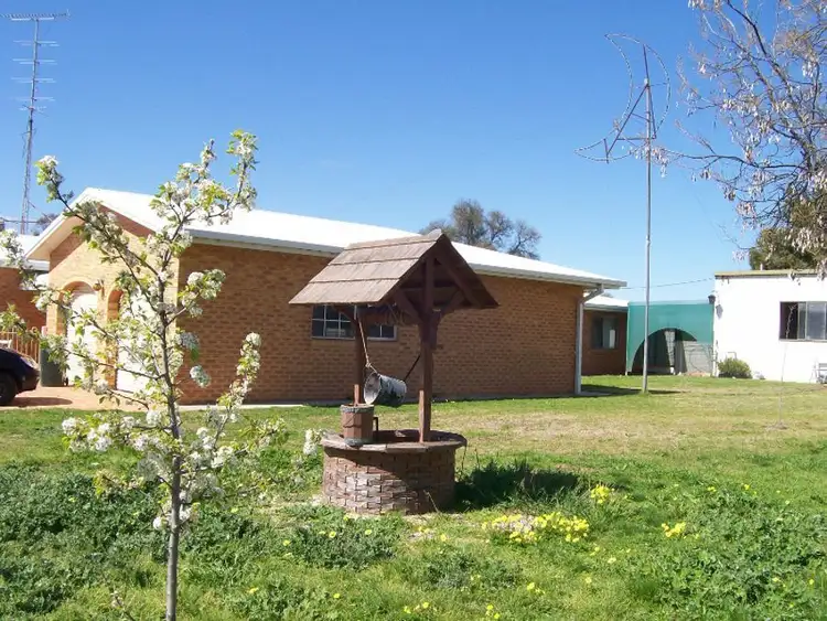 Second view of Homely house listing, 53 Buller St, Oaklands NSW 2646