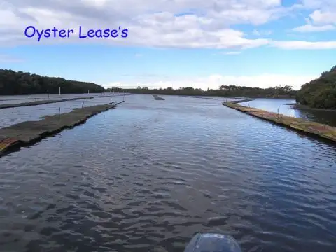 Sixth view of Homely rural property listing, 16/170 Greens Road, Greenwell Point NSW 2540