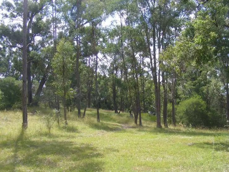 Sixth view of Homely house listing, 367 Wylie Creek Road, Liston NSW 2372