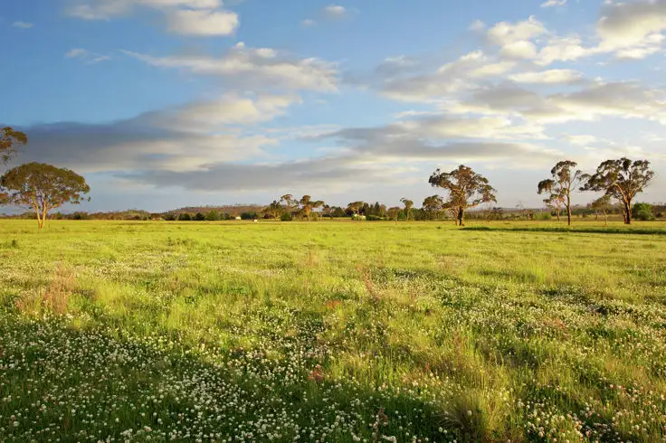 Sixth view of Homely land listing, Lot 308 Old Gostwyck Park Estate, Armidale NSW 2350
