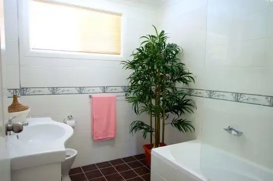 Fifth view of Homely townhouse listing, 3/4 Phillip Street, Coffs Harbour NSW 2450