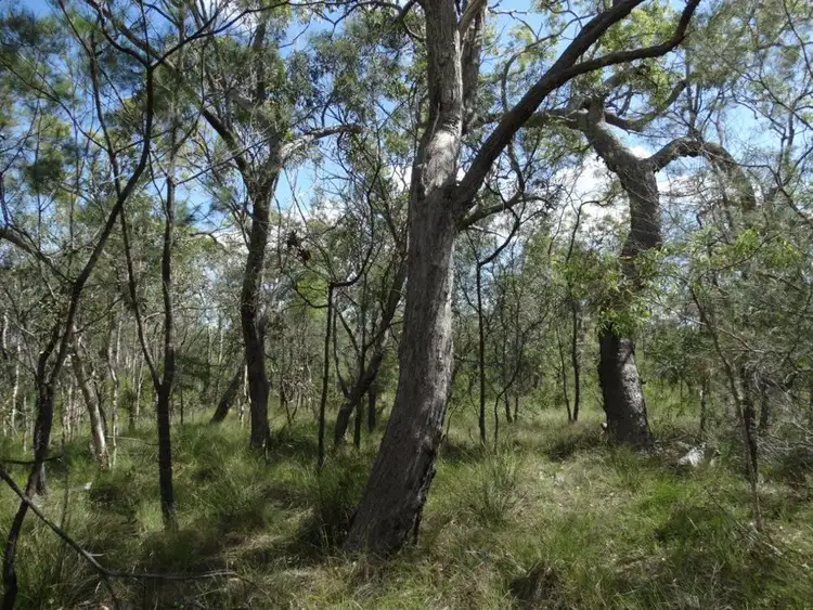 Sixth view of Homely rural property listing, Lot 177 Oceanna Drive, Deepwater QLD 4674