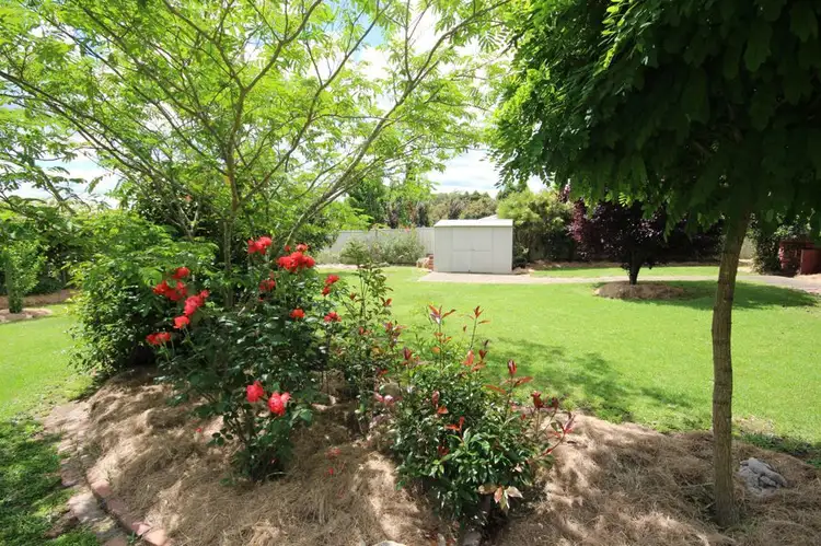 Third view of Homely house listing, 200 Pelham Street, Tenterfield NSW 2372