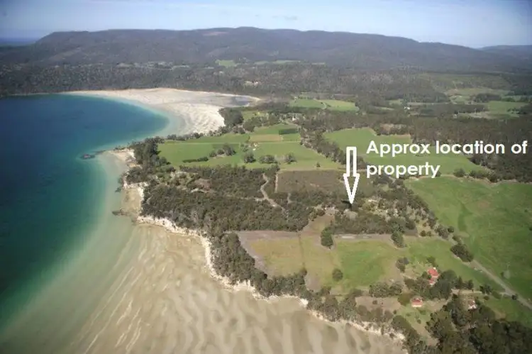 Fourth view of Homely rural property listing, 468 Nubeena Road, Koonya TAS 7187
