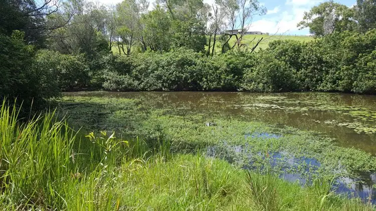Sixth view of Homely land listing, Lot 13 Winterleigh Way, Greens Creek QLD 4570