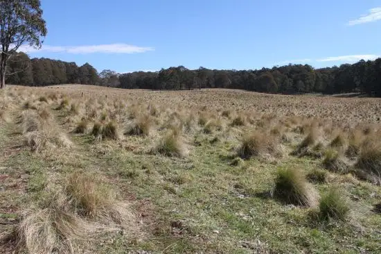 Fifth view of Homely rural property listing, Address available on request