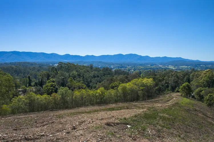 11 Bowraville Road, Bellingen NSW 2454