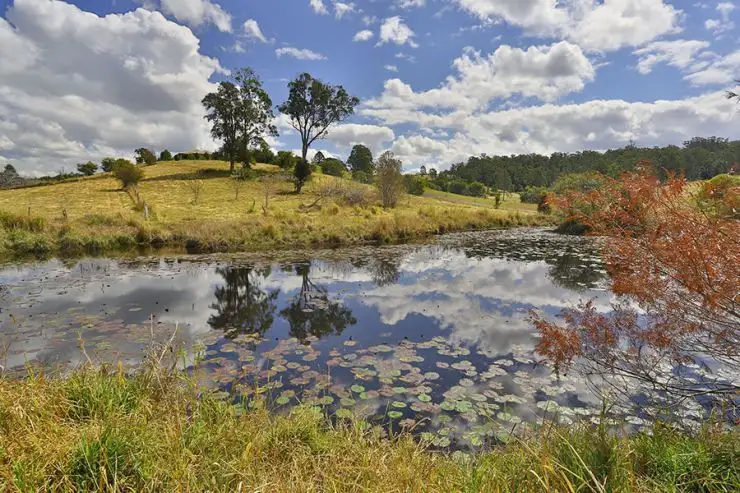 Lot 1 Peppertree Grove, Macksville NSW 2447
