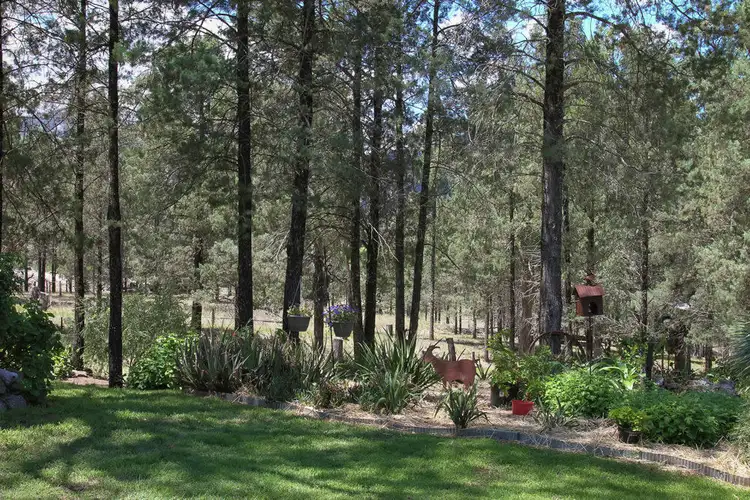 Second view of Homely rural property listing, 1711 Moore Creek Road, Tamworth NSW 2340