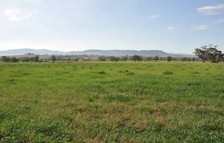 Third view of Homely rural property listing, Lot 402 Nandowra Rd, "Applegum", Scone NSW 2337