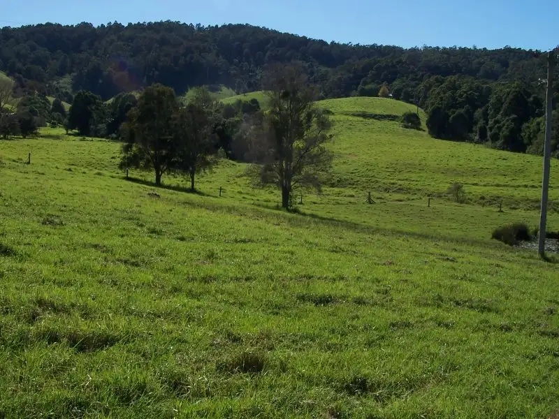 Main view of Homely rural property listing, 210 Wrights Lane, Dyers Crossing NSW 2429