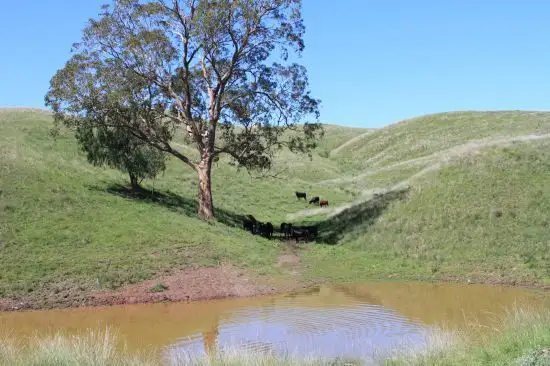 Fifth view of Homely rural property listing, 1 Riverbend Waverley  Road, Scone NSW 2337