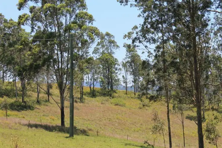Second view of Homely rural property listing, 781 Dyraaba Road, Kyogle NSW 2474
