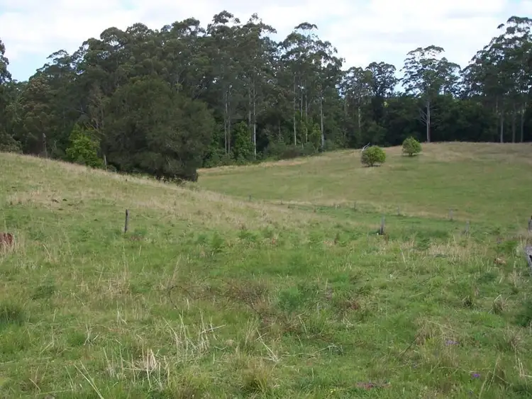 Sixth view of Homely rural property listing, 319 Candoormakh Creek Road, Nabiac NSW 2312