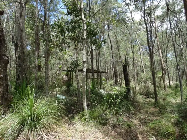 Seventh view of Homely rural property listing, Lot 9 Muller Road, Baffle Creek QLD 4674