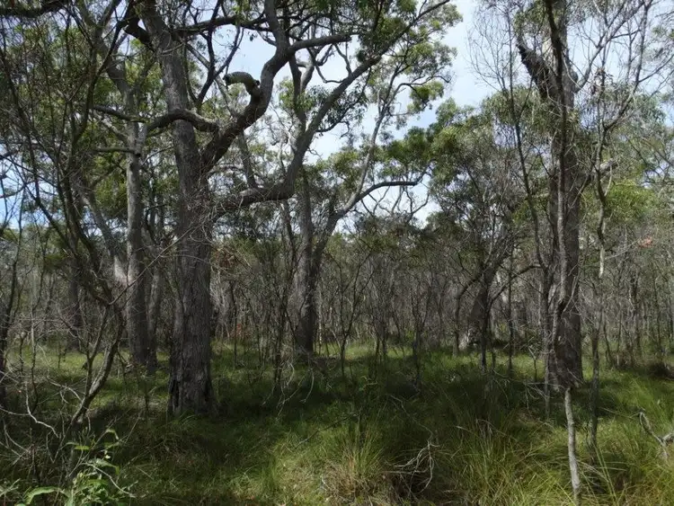 Seventh view of Homely rural property listing, Lot 23 Dale Drive, Rules Beach QLD 4674