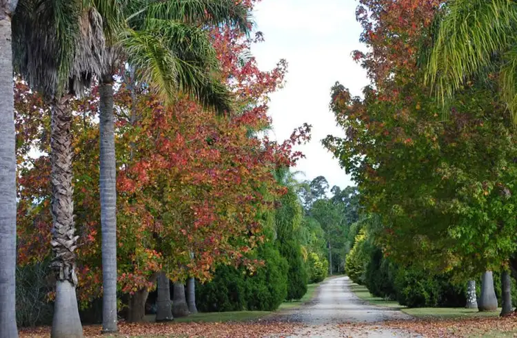 Third view of Homely house listing, 1490 Bucca Road, Nana Glen NSW 2450