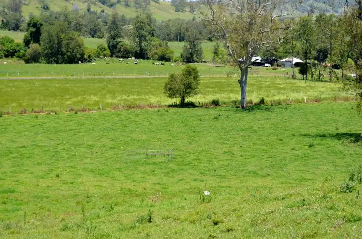 Sixth view of Homely rural property listing, 219 *Gradys Creek Road, Kyogle NSW 2474