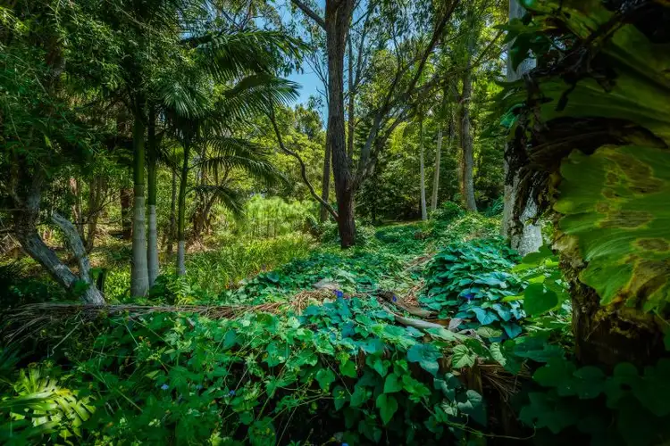 Seventh view of Homely rural property listing, 17 Repton Road, Repton NSW 2454