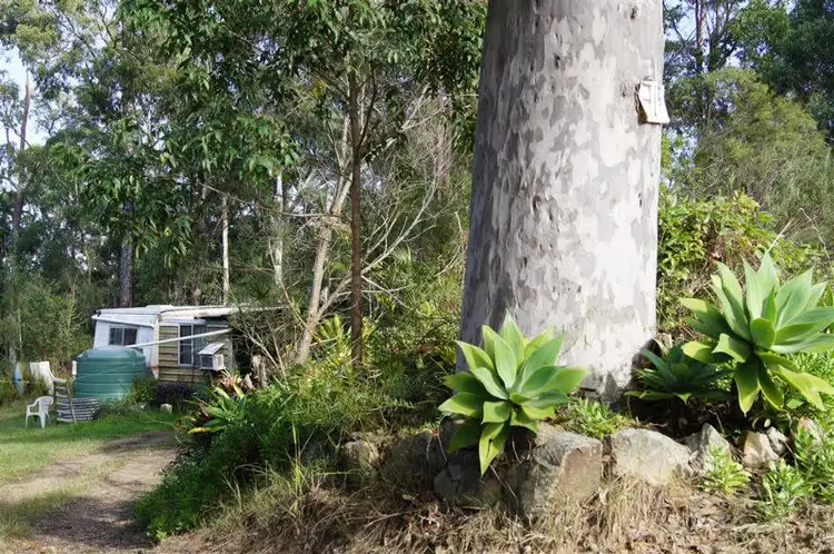 Fourth view of Homely rural property listing, 319 Dirty Creek Road, Dirty Creek NSW 2456
