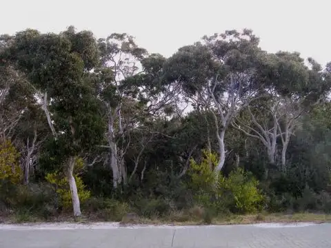 Second view of Homely land listing, 3 Caffery Circuit, Callala Beach NSW 2540