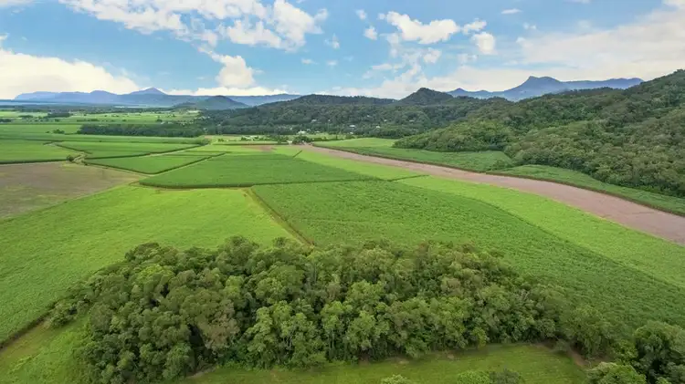 Fifth view of Homely land listing, LOT 2 Schilds Road, Miallo QLD 4873