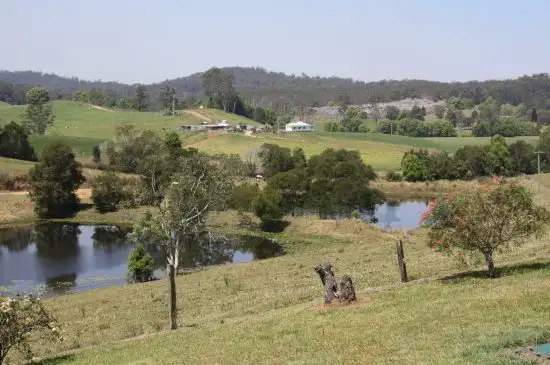 Second view of Homely rural property listing, 42 Missabotti Road, Missabotti NSW 2449