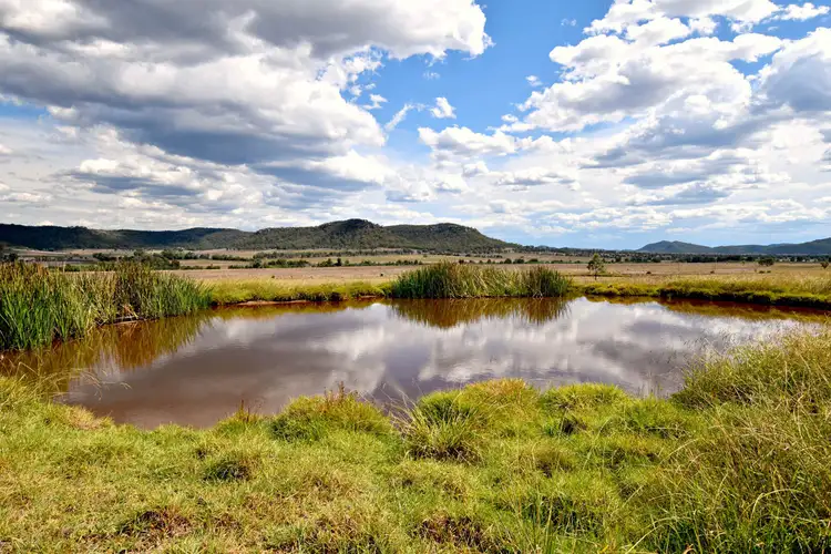 Fifth view of Homely rural property listing, Primrose 1333 Golden Highway, Sandy Hollow NSW 2333