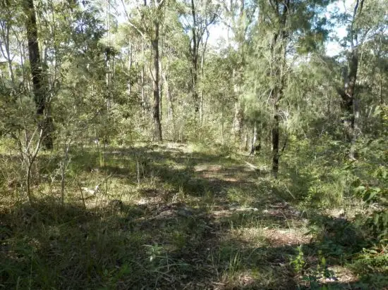 Sixth view of Homely rural property listing, Lot 5 Cyril Smith Circuit, Tabulam NSW 2469