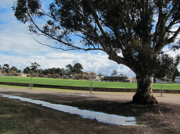 Second view of Homely house listing, 8A Alice Terrace, Murray Bridge SA 5253