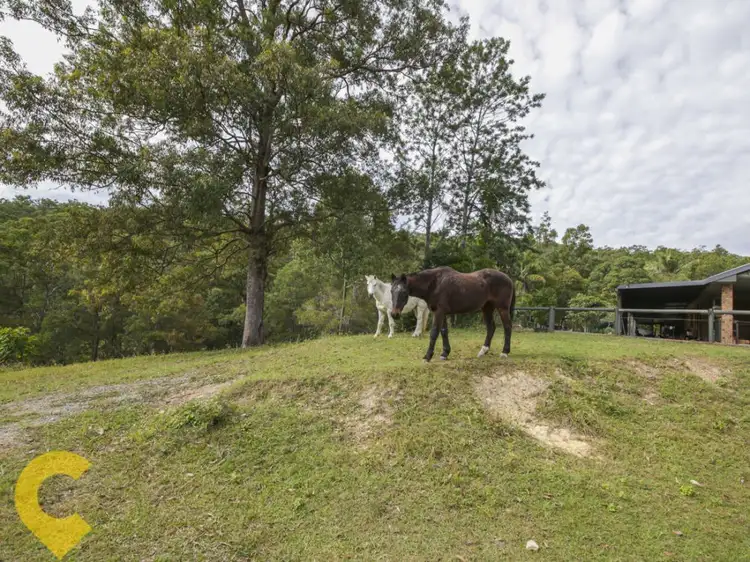 Third view of Homely rural property listing, 79 Holyrood Road, Maudsland QLD 4210