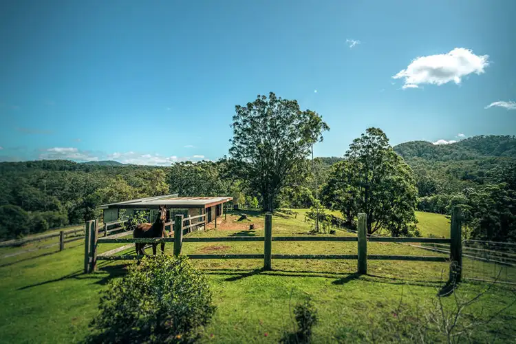 Seventh view of Homely rural property listing, 50 Greenaways Road, Nambucca Heads NSW 2448