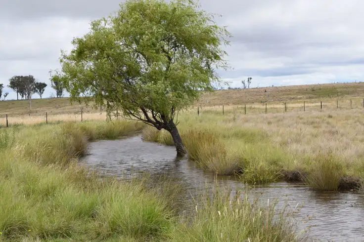 Main view of Homely rural property listing, 22-24. Blue Knobby Road, Armidale NSW 2350