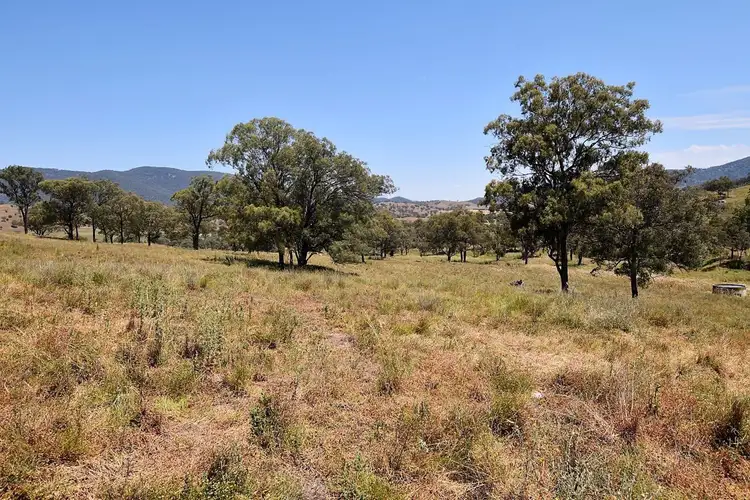 Sixth view of Homely rural property listing, Jura Waverley Road, Scone NSW 2337