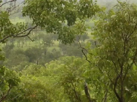 Seventh view of Homely rural property listing, 315 Dorat Rd, Adelaide River NT 846