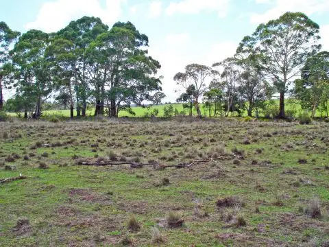 Seventh view of Homely land listing, Lot 3 Welcome Reef Road, Tomboye NSW 2622