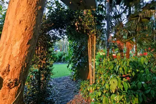 Seventh view of Homely rural property listing, 312 Johnson Rd, Forestdale QLD 4118