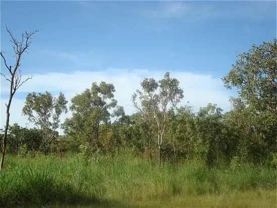 Sixth view of Homely rural property listing, 485 Haynes Rd, Adelaide River NT 846
