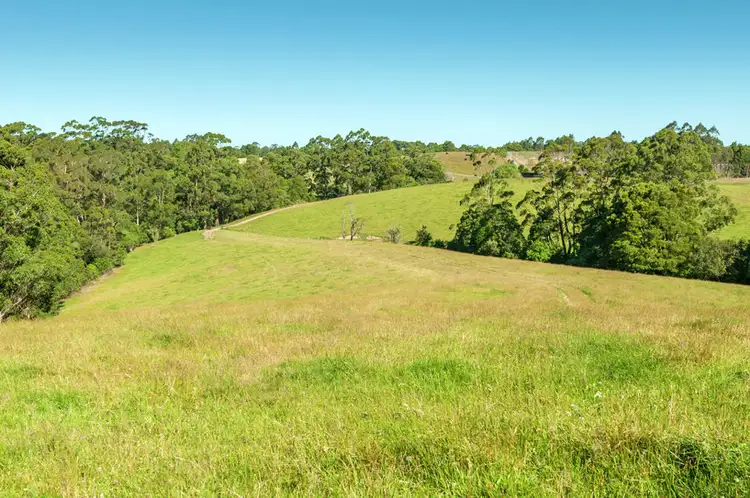 Third view of Homely rural property listing, 4880 Great Ocean Road, Lavers Hill VIC 3238
