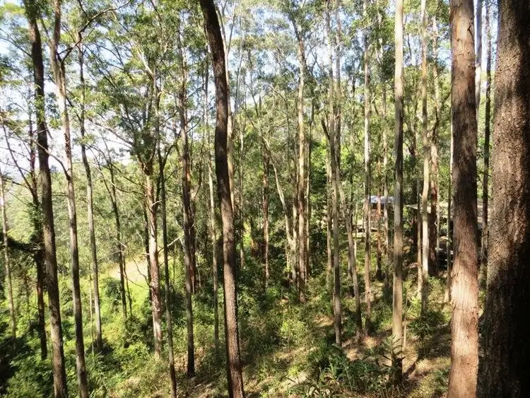 Seventh view of Homely house listing, 530 Newee Creek Road, Newee Creek NSW 2447